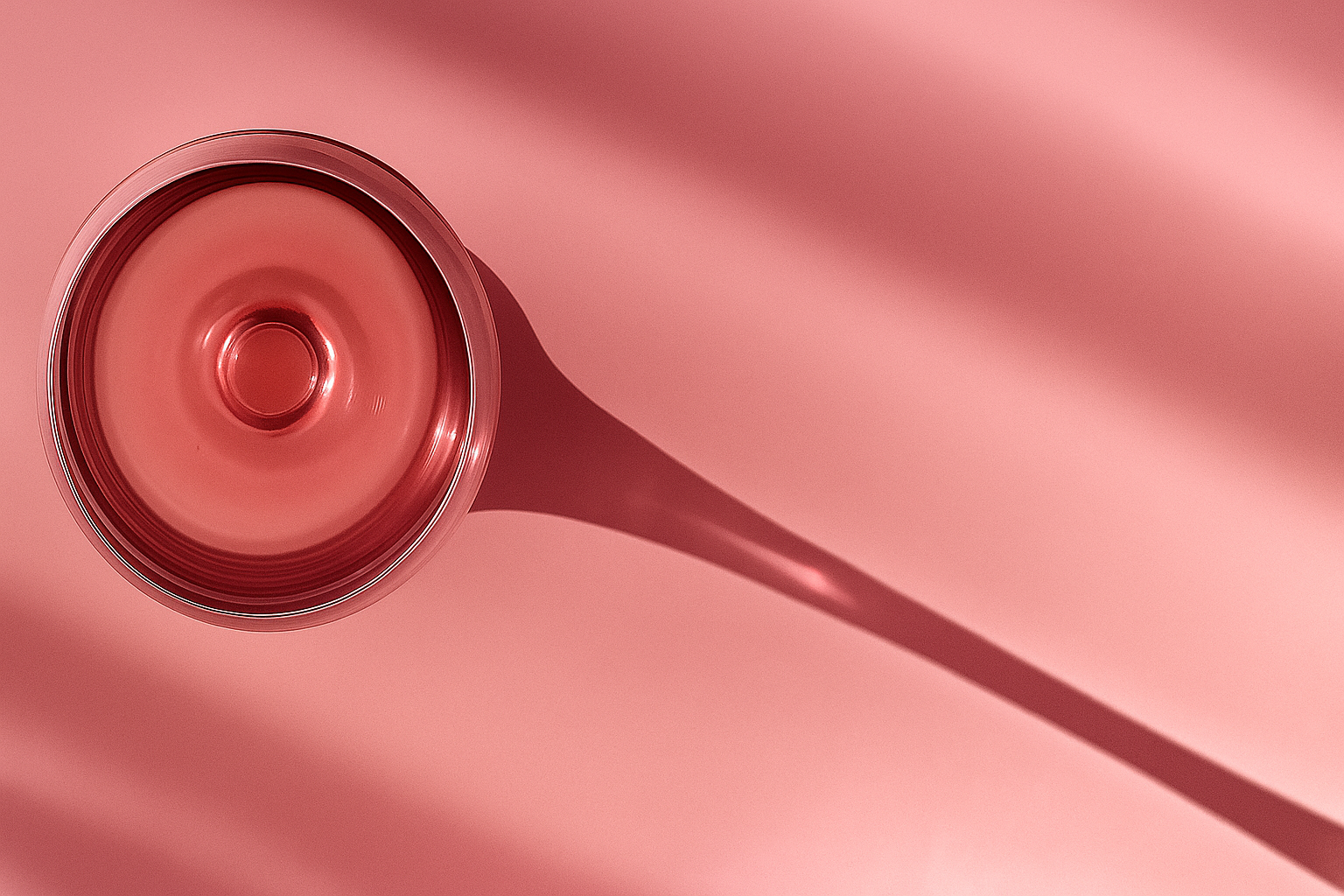 Rosé Wines