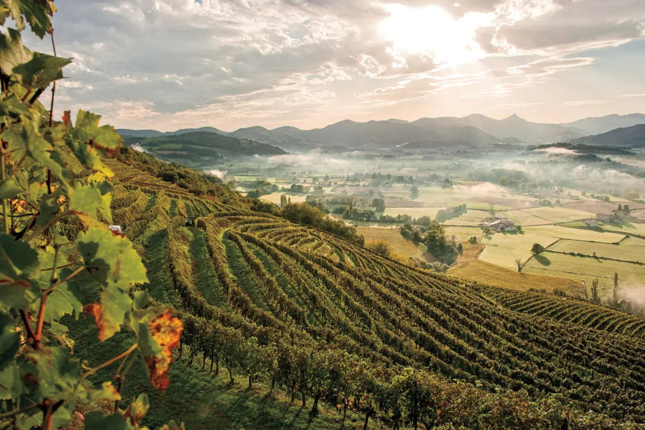 All Terroirs
