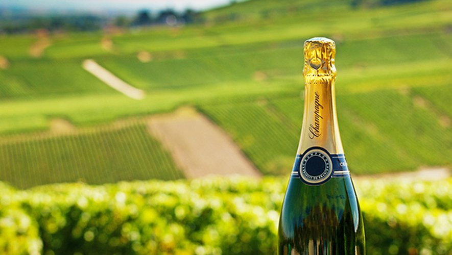 Champagne