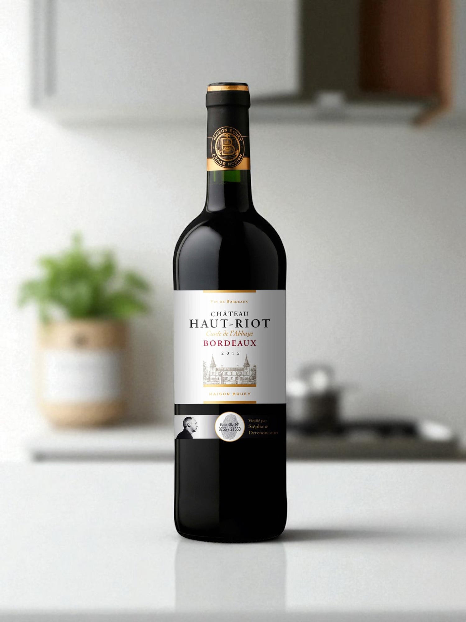 Bordeaux Château Haut Riot 2023
